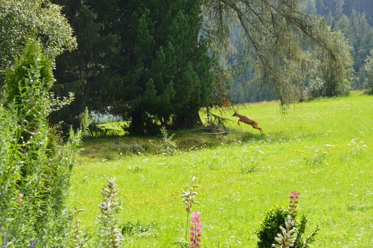 Appartement Kaulfuss